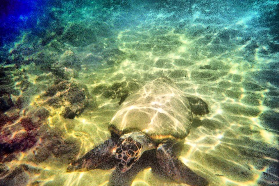 Alkionis Beach Stavromenos Luaran gambar